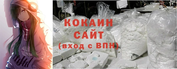 индика Покачи