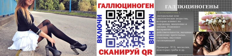 omg ссылка  Красноармейск  Псилоцибиновые грибы Magic Shrooms 